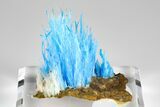 Vibrant Blue Chalcanthite - Planet Mine, Arizona #181703-2